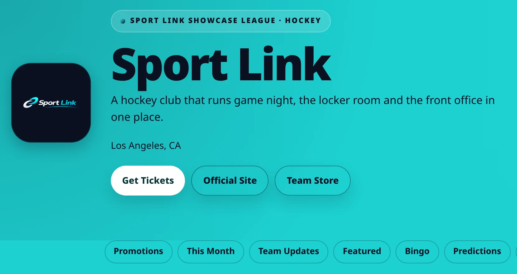 Sport Link Fan Hub: the team's branded public page with ticket links, section navigation and the promotions hub.