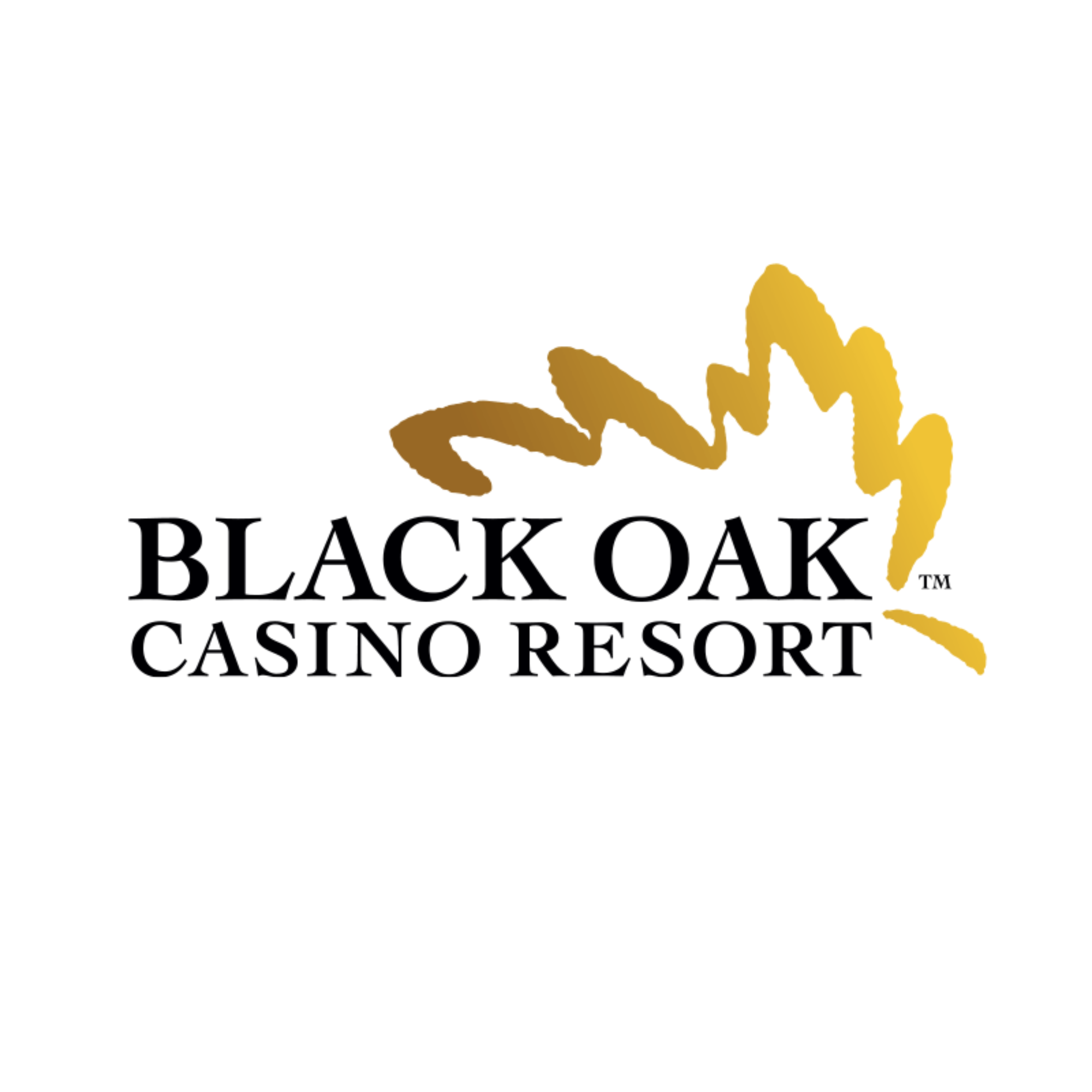 Black Oak Casino Resort logo